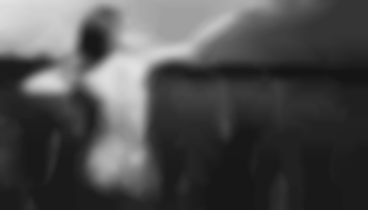 Exploration des tendances actuelles dans le cinéma pour adultes français